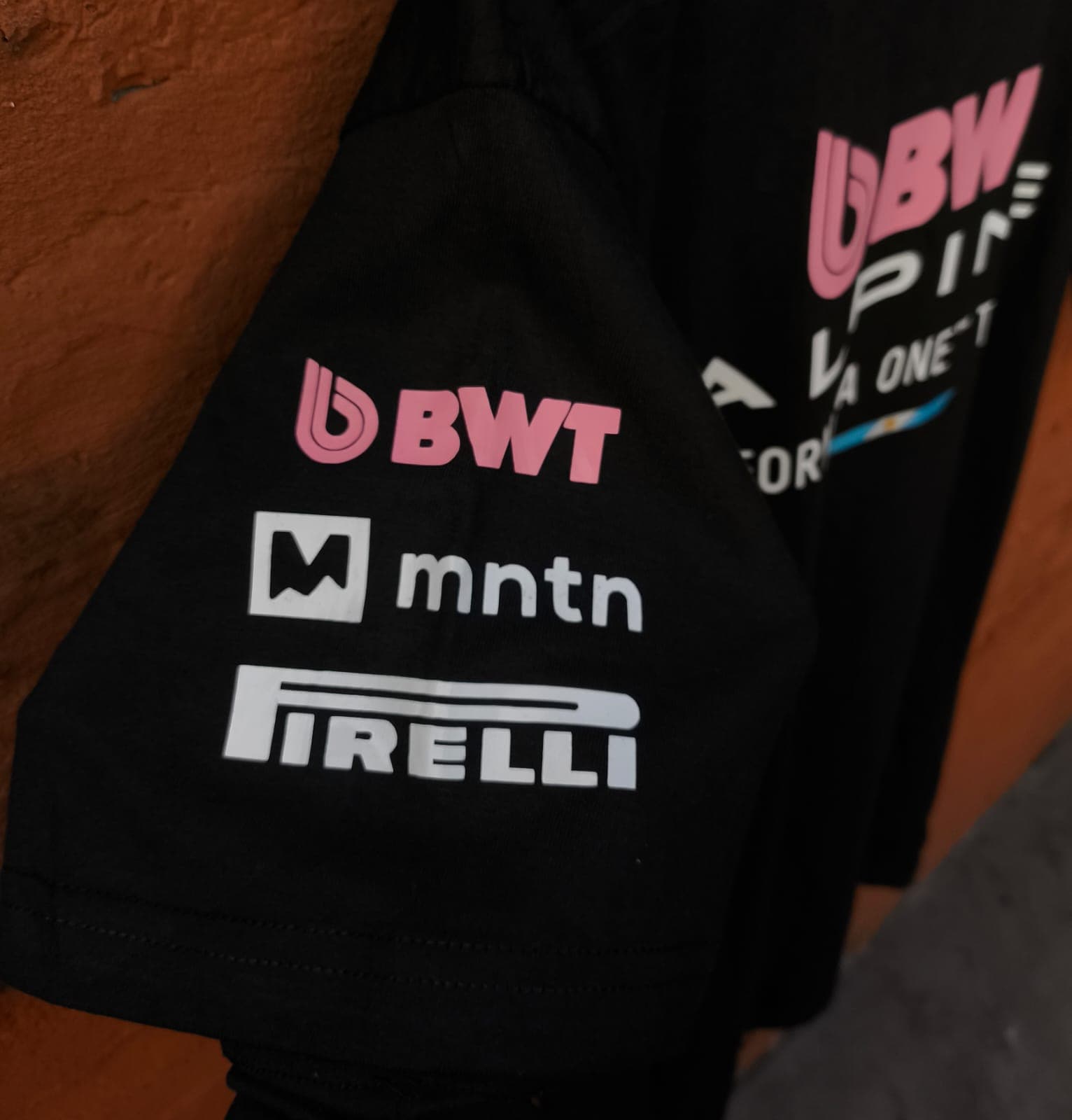 Remera Alpine BWT