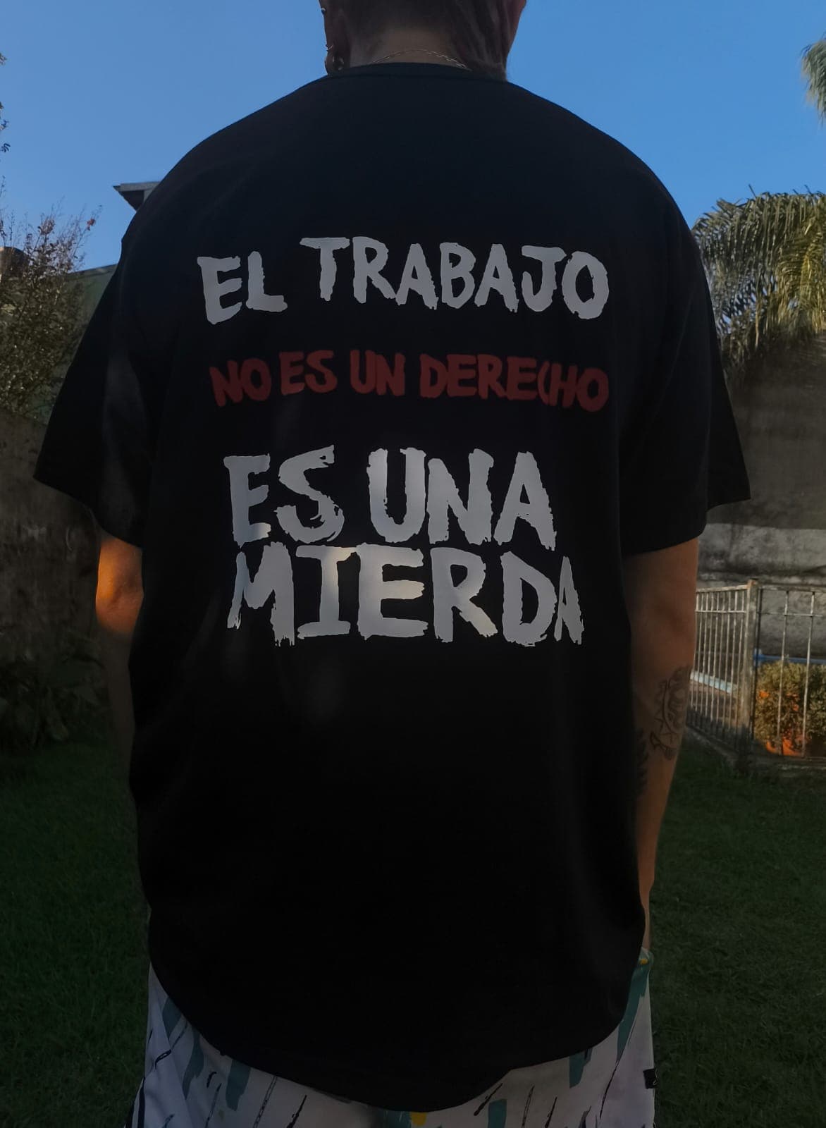 Básico Visión Ruidosa